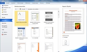 Microsoft Office Professional Plus 2010