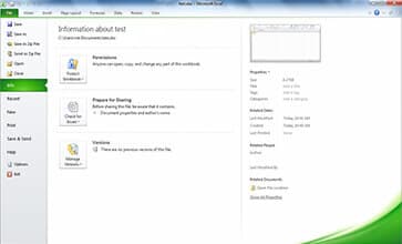 Microsoft Office Professional Plus 2010